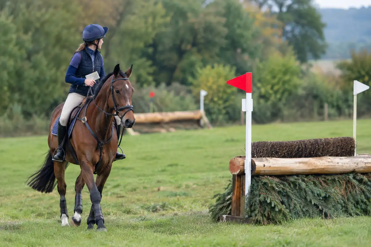 Un cavalier étudie à pied un obstacle de cross et ses fanions pendant la reconnaissance d’un parcours de concours complet.