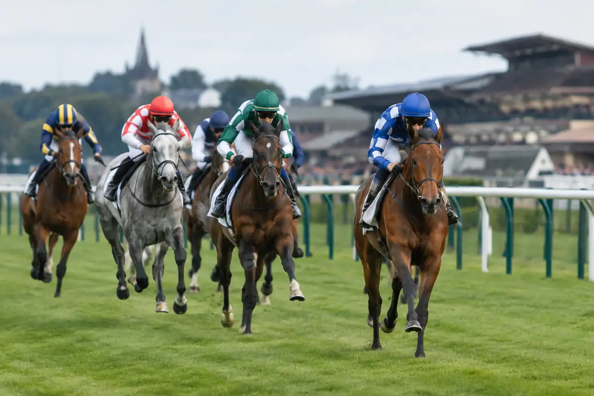 Jockeys en position de course accompagnent des chevaux lancés au galop sur la piste en herbe d’un hippodrome.