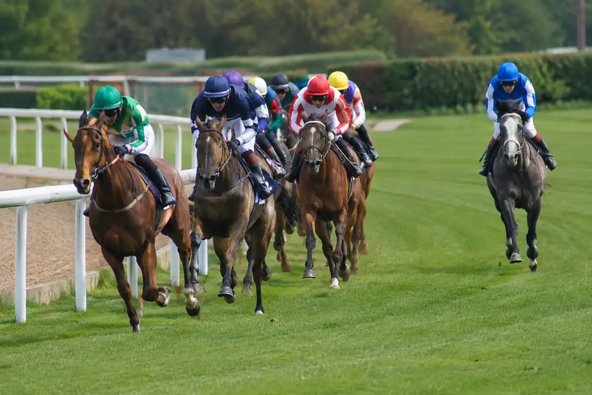 Peloton de chevaux de galop dans un tournant, entre position à la corde, sillage d’un rival et trajectoire extérieure.