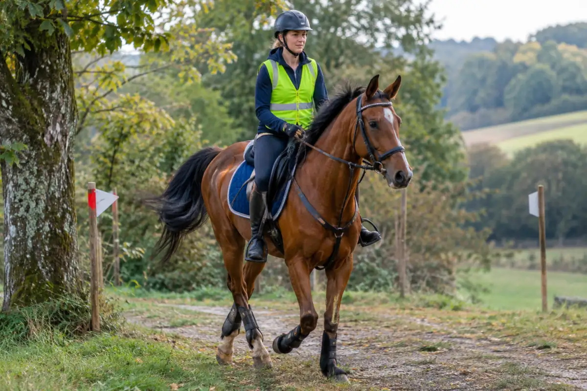 Cavalier en casque et gilet visible accompagnant son cheval au trot sur un chemin balisé d’endurance équestre.