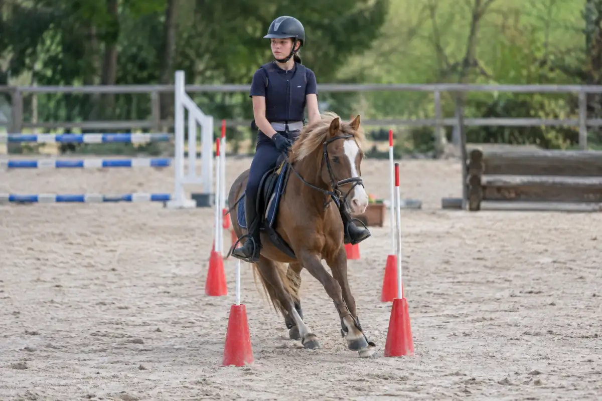 Une cavalière guide son poney au trot dans un slalom de maniabilité lors d’un parcours d’Equifun en carrière.