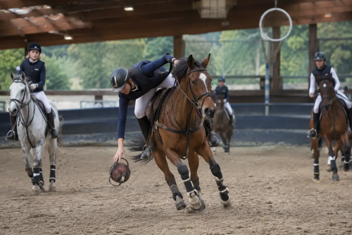 Match de horse-ball en manège : une cavalière ramasse le ballon à poignées au galop tandis que ses coéquipiers se démarquent.