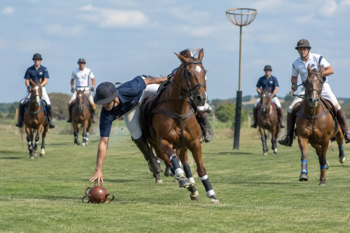 Cavalier de pato argentin se penche depuis sa selle pour ramasser le ballon à poignées sur un terrain de jeu.