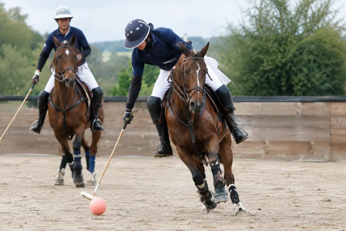 Match de polo en salle : un cavalier frappe une balle souple au maillet dans une arène bordée de planches.