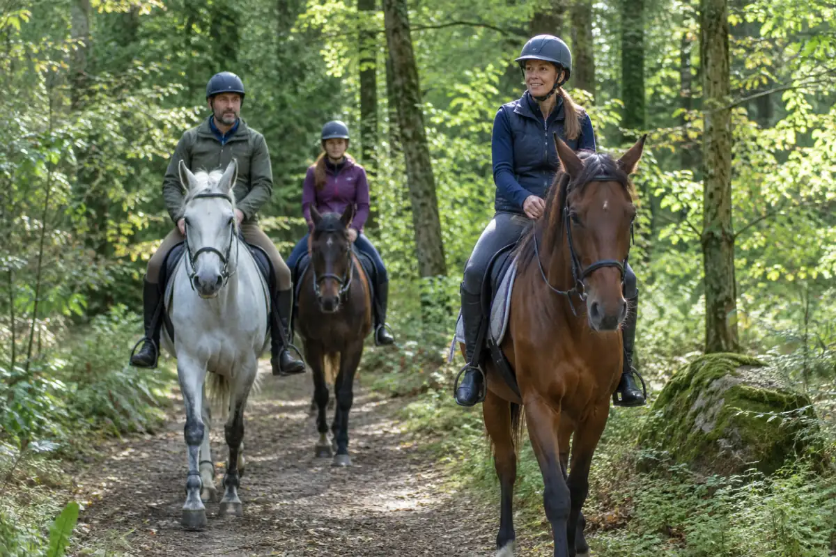 Randonnée équestre en forêt : des cavaliers casqués avancent au pas sur un chemin rural avec leurs chevaux sellés.