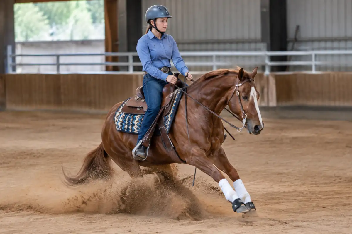 Un cavalier en tenue western présente un arrêt glissé de reining sur la piste sablée d’un manège.