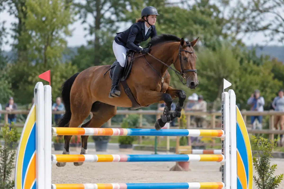 Un cavalier en casque accompagne son cheval au-dessus d’un oxer lors d’une épreuve de saut d’obstacles en carrière.