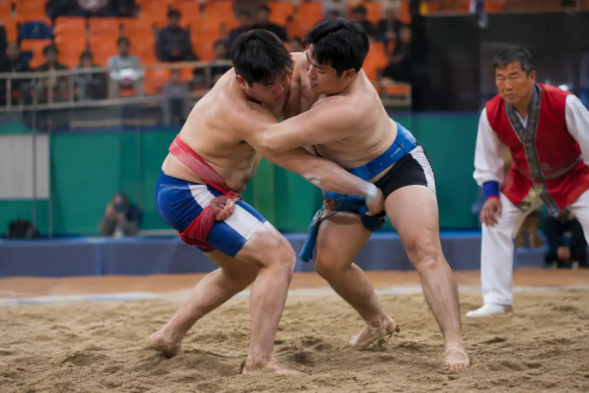 Deux lutteurs en satba s’affrontent sur un cercle de sable lors d’un combat de ssireum, chacun cherchant à déséquilibrer son adversaire.