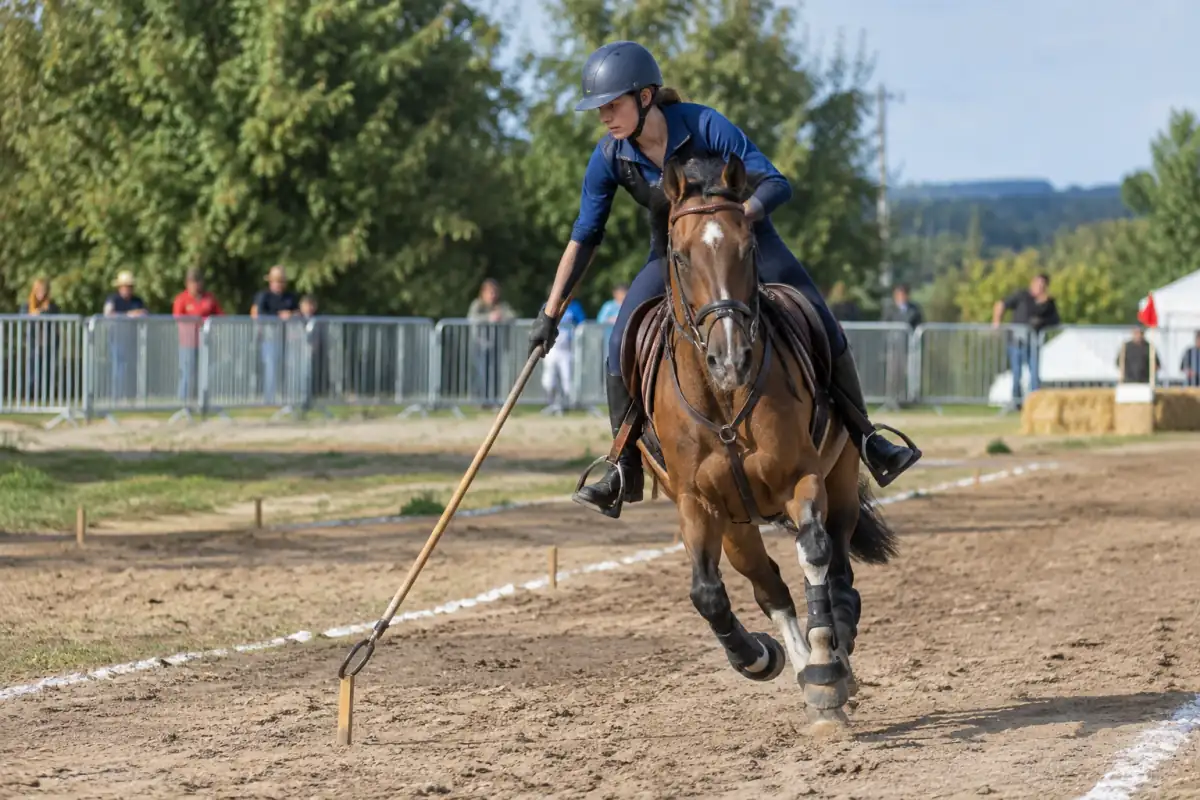 Un cavalier de tent pegging au galop vise avec une lance un petit piquet planté dans le sol sur une piste extérieure.